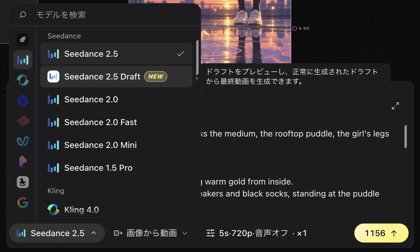 The video model menu